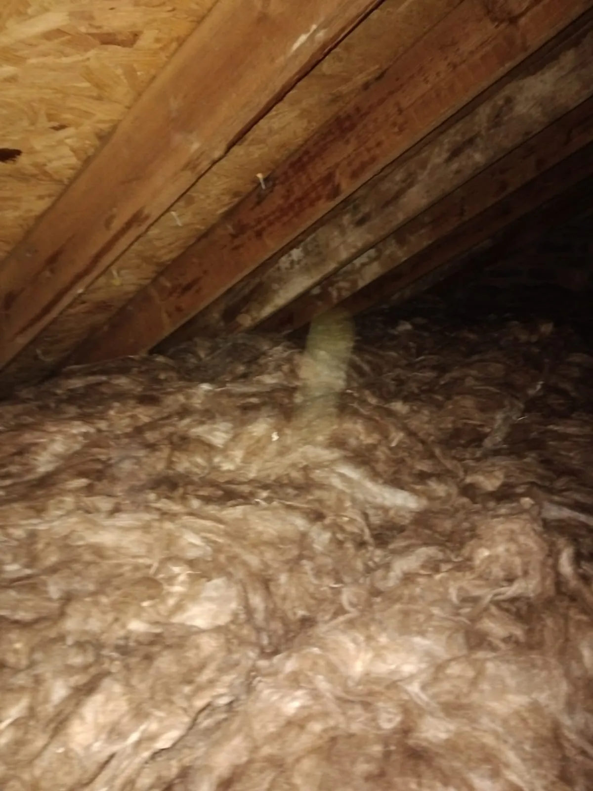 New Knauf mineral wool insulation installed across the Crossmyloof loft floor